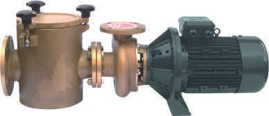 FDN Centrifugal Cast Iron Pump