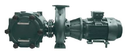 FDN HV Series Cast Iron Pump